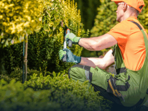 Curso Técnico em Paisagismo
