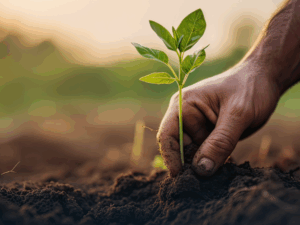 Pós-Graduação em Agricultura e Sustentabilidade