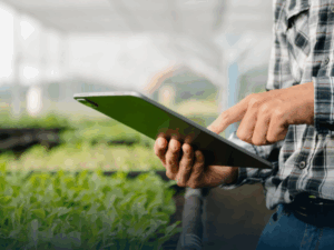 Pós-Graduação em Agronegócio