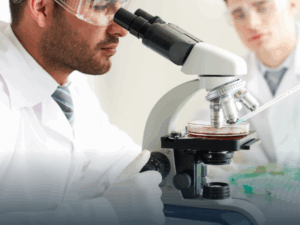 Pós-Graduação em Análises Clínicas e Microbiologia