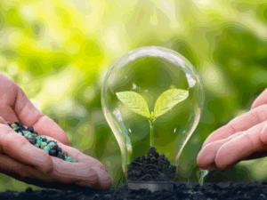 Pós-Graduação em Conservação e Meio Ambiente