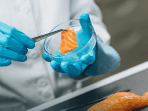 Pós-Graduação em Controle de Qualidade e Segurança de Alimentos