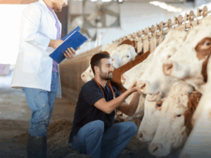 Engenharia Agronômica: Zootecnia e Zoologia Agrícola