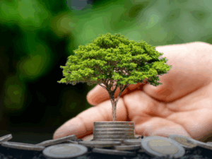 Gestão Ambiental e Sustentabilidade