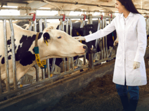 Negócios Agroalimentares Com Foco em Produção Animal
