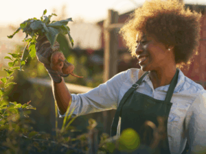 Negócios Agroalimentares Com Foco em Produção Vegetal
