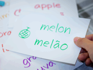 Práticas em Educação Bilíngue