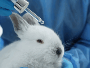 Produção Animal