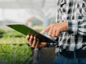 Pós-Graduação em Agronegócio: Gestão e Contabilidade