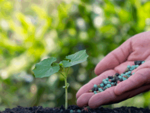 Pós-Graduação Fertilidade Manejo de Solo e Nutrição de Plantas