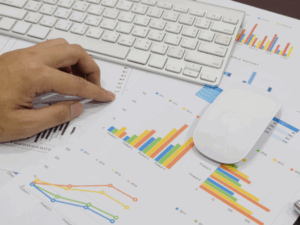 Gestão Financeira e Orçamentária em Organizações Públicas