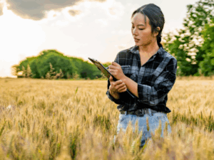 Graduação em Gestão do Agronegócio