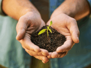Pós-Graduação em Sustentabilidade e Meio Ambiente