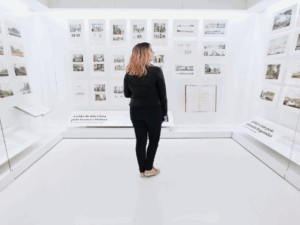 Graduação em Museologia