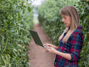 Curso Técnico em Agronegócios